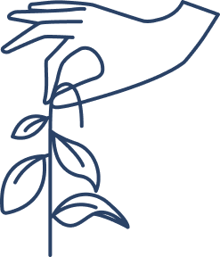 hand holding a plant