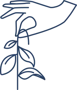 hand holding a plant