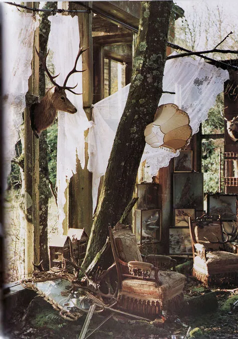 the dangers of bitterness and how to avoid them in The Atlantic