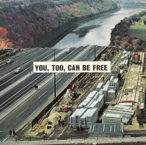 Jonah Lehrer interviews Davi Johnson Thornton on her new book Brain Culture:...