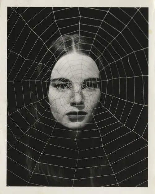 Just as the Urnanâbhi, a species of spider, creates a thread out...