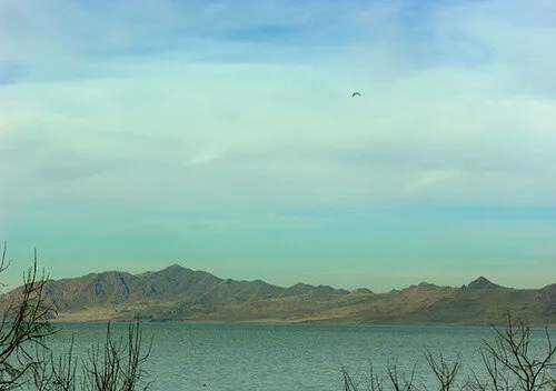 We treat desire as a problem to be solved, address what desire...