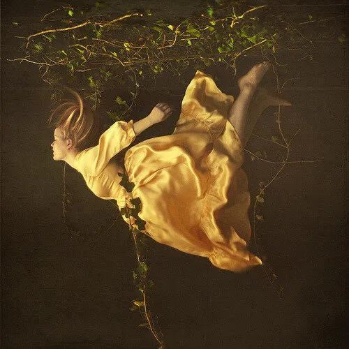 Paul Bloom talks to Seed about why we get pleasure from food,...