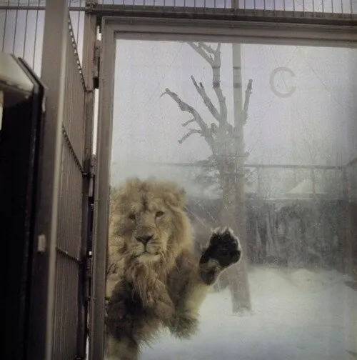 …for all the longstanding centrality of courage to any standard narrative of...