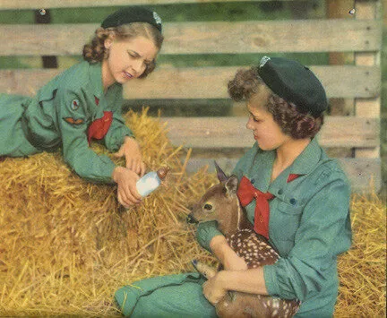 are primates altruistic?: hints on why we help