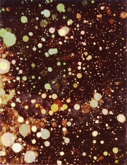 Seed magazine asks eleven leading scientists what they most need us to...