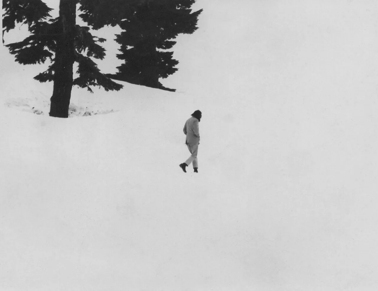 In the early ’70s, Allen found a Tibetan Buddhist teacher named Chögyam...