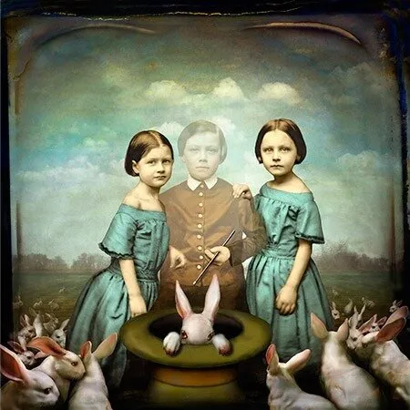 “Ridiculously compelling”: Four-year-old Canadian twins with potentially linked brain structure deemed “incomparable...