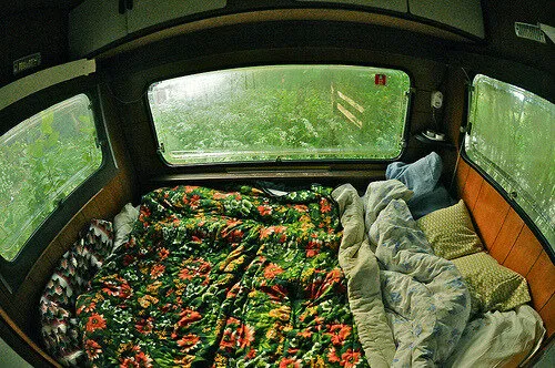 schopenhauer and the trick to not emotionally impaling yourself on other people...