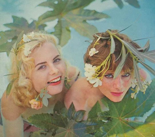 sex, smell, and the pheromone myth in slate