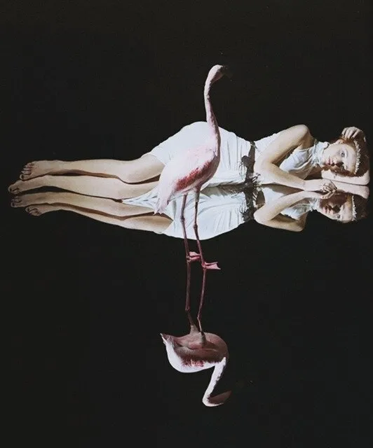 the pathologizing of grief in the new york times