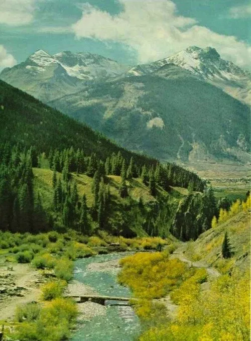 how living in cities has changed the words we write, read and...