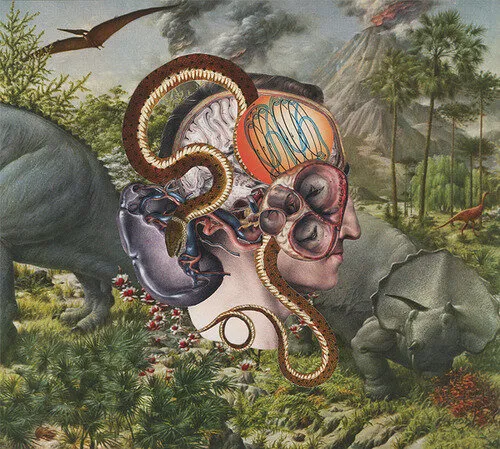 adam gopnik on the continuing debate about free will and neurobiology in...