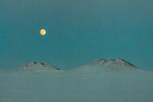 “From a letter written by a German soldier standing guard in the...